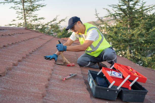 Best Metal Roofing Contractor  in Onalaska, TX